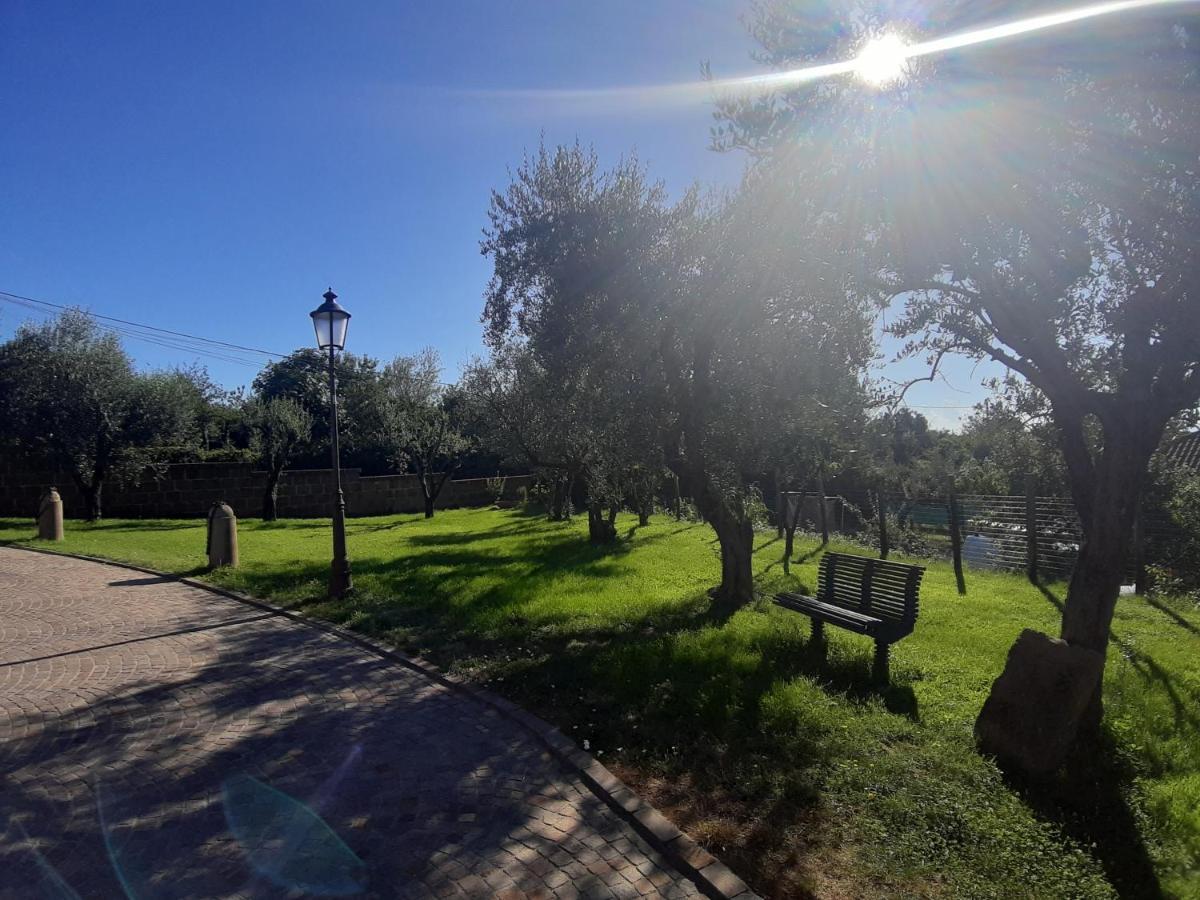 B&B Le Bacette Caprarola Dış mekan fotoğraf